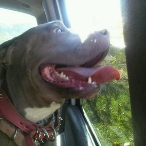 Meet your Posher, Erica